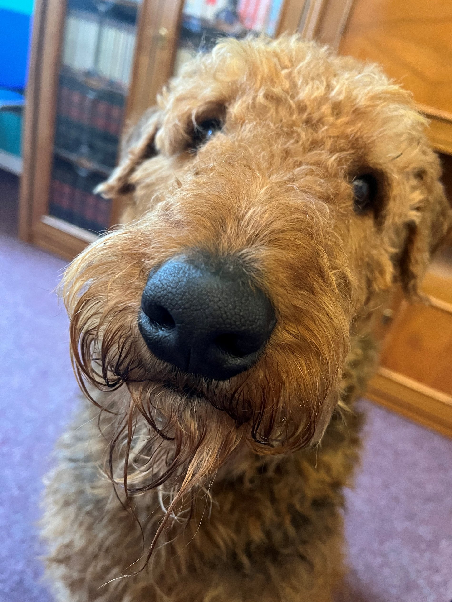 Schuldnerberatung Chemnitz